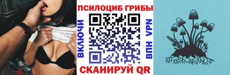 купить закладку  Димитровград  omg как зайти  Псилоцибиновые грибы мухоморы 